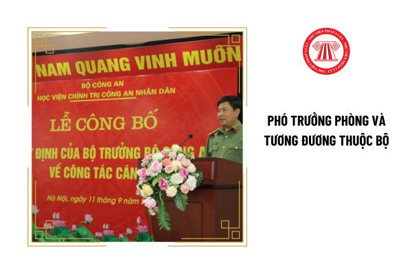 Phó Trưởng phòng và tương đương thuộc Bộ phải có lối sống như thế nào? 