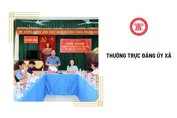 Thường trực đảng uỷ xã có trình độ học vấn thế nào?