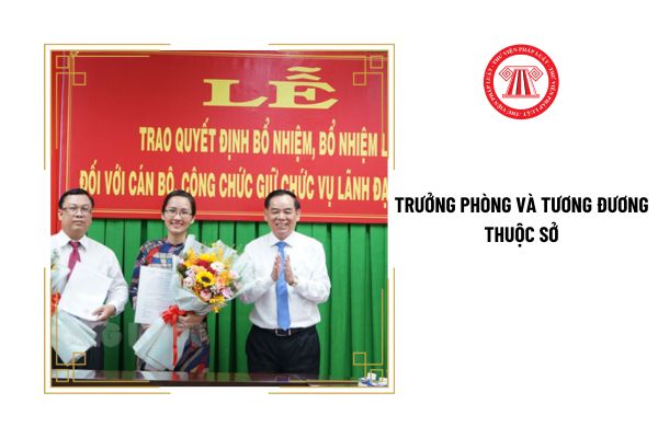 Tiêu chuẩn chung của Trưởng phòng và tương đương thuộc Sở là gì?