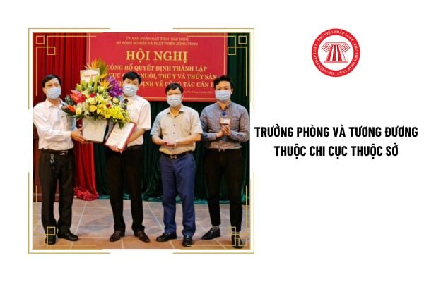 Trưởng phòng và tương đương thuộc Chi cục thuộc Sở là ai?