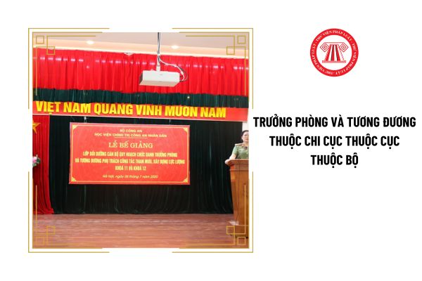 Trưởng phòng và tương đương thuộc Chi cục thuộc Cục thuộc Bộ phải có tiêu chuẩn đạo đức như thế nào?