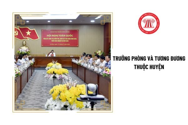 Trưởng phòng và tương đương thuộc huyện cần có trình độ như thế nào?