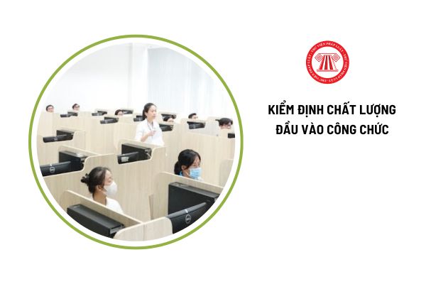 Trường hợp nào thí sinh dự thi kiểm định chất lượng đầu vào công chức được thi lại vào đợt thi khác?