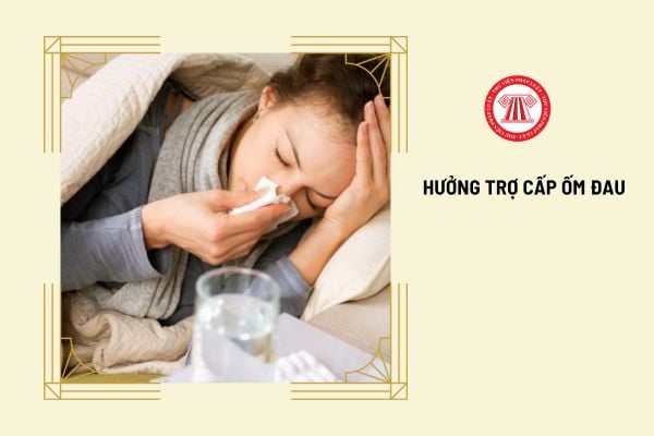 Mức hưởng trợ cấp ốm đau được tính trên căn cứ nào?