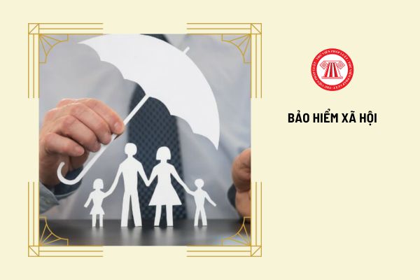 Mẫu hồ sơ bảo hiểm xã hội bắt buộc do cơ quan nào ban hành?