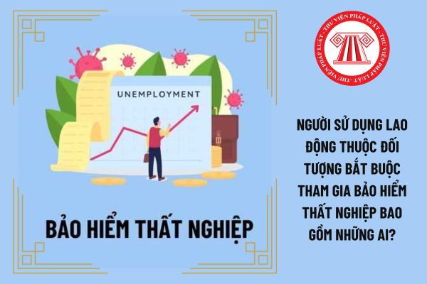 Người sử dụng lao động thuộc đối tượng bắt buộc tham gia bảo hiểm thất nghiệp bao gồm những ai?