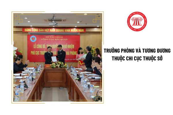 Trưởng phòng và tương đương thuộc Chi cục thuộc Sở phải đáp ứng tiêu chuẩn về thời gian giữ chức vụ thế nào?