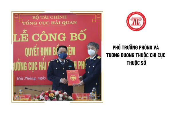 Phó Trưởng phòng và tương đương thuộc Chi cục thuộc Sở phải đáp ứng trình độ về lý luận chính trị thế nào?