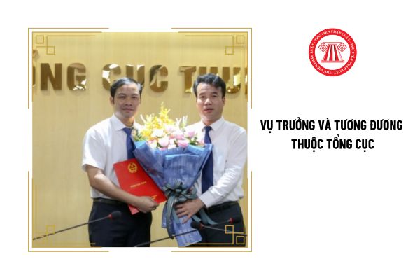 Vụ trưởng và tương đương thuộc Tổng cục cần có bằng tốt nghiệp gì?