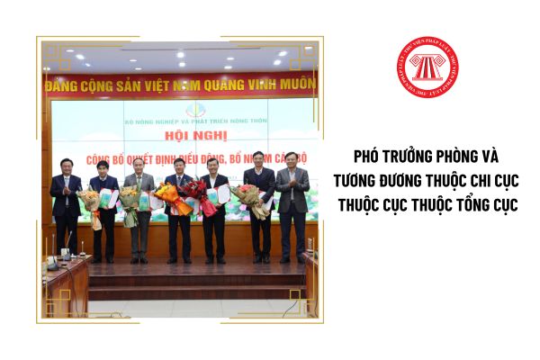 Phó Trưởng phòng và tương đương thuộc Chi cục thuộc Cục thuộc Tổng cục cần có trình độ lý luận chính trị thế nào?