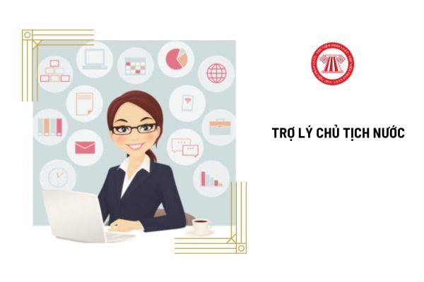 Chủ tịch nước có bao nhiêu trợ lý?