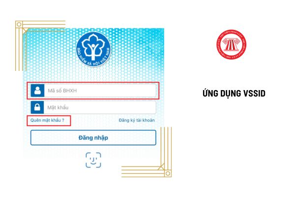 Mật khẩu VssID bao nhiêu ký tự? Có tra cứu quá trình đóng BHXH trên VssID được không?