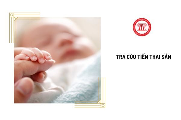 Tra cứu tiền thai sản ở đâu?