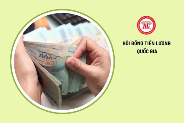 Phó Chủ tịch Hội đồng tiền lương quốc gia gồm những ai? Do ai bổ nhiệm?