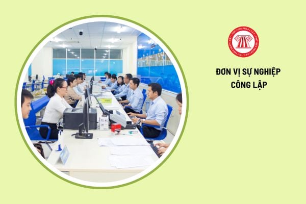 Phân loại vị trí việc làm theo tính chất, nội dung công việc của đơn vị sự nghiệp công lập như thế nào?