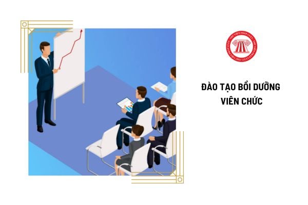 Trách nhiệm của viên chức trong đào tạo bồi dưỡng là gì?