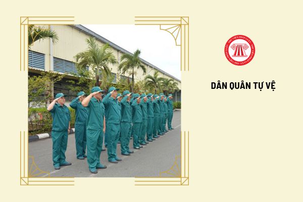 Những chức vụ chỉ huy của đơn vị Dân quân tự vệ là gì?