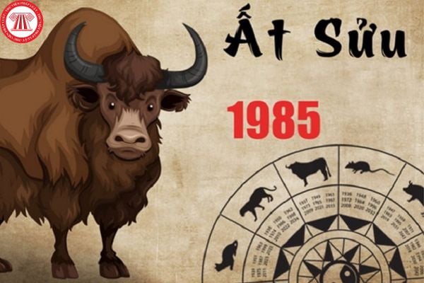 SINH NĂM 1985 HỢP VỚI TUỔI TỴ DẬU SỬU