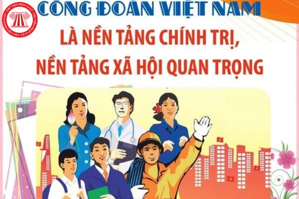 Hệ thống tổ chức Công đoàn Việt Nam bao gồm những cấp nào?
