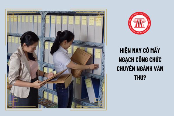 Hiện nay có mấy ngạch công chức chuyên ngành văn thư?