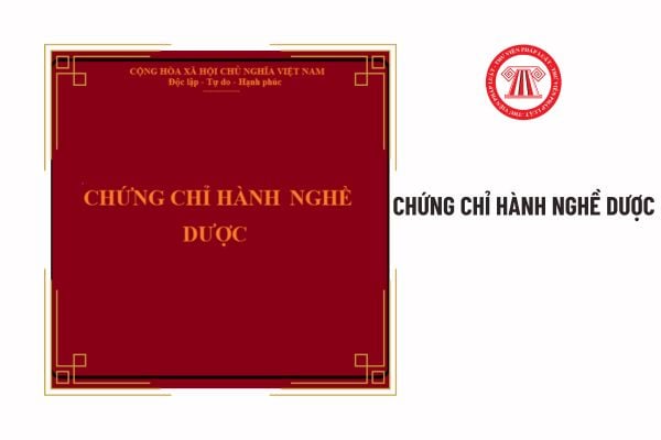 Có được thuê Chứng chỉ hành nghề dược của người khác để hành nghề không?