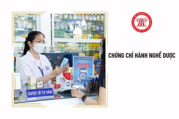 Trên Chứng chỉ hành nghề dược ghi những nội dung gì?