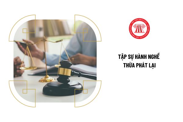 Người tập sự hành nghề Thừa phát lại chấm dứt tập sự trong trường hợp nào?