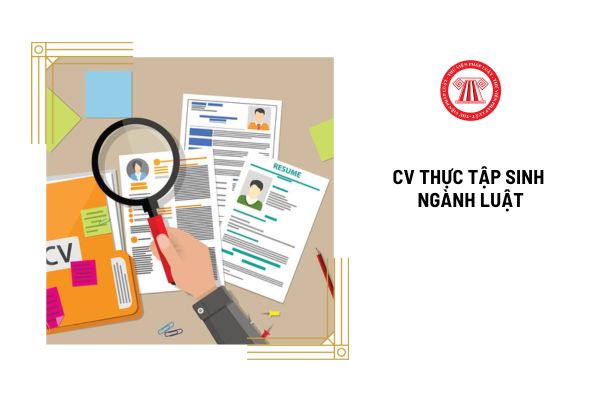 Những lưu ý khi viết CV thực tập sinh ngành Luật?