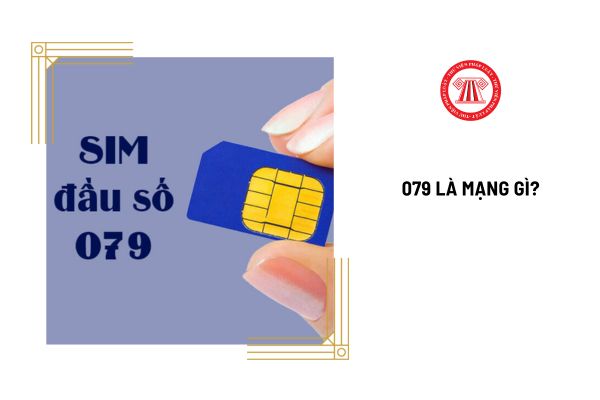 079 là mạng gì? Phụ cấp điện thoại có đóng bảo hiểm xã hội không?