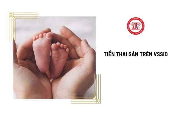 Tiền thai sản có trên VssID thì bao lâu nhận được?