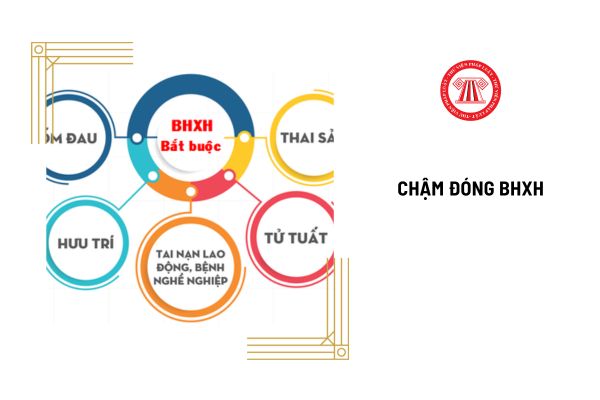 Người sử dụng lao động chậm đóng bảo hiểm xã hội bắt buộc thì bị công khai ở đâu?