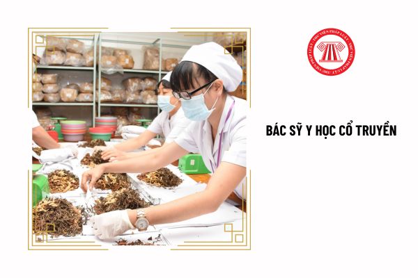 Bác sỹ y học cổ truyền có phạm vi hành nghề ra sao?