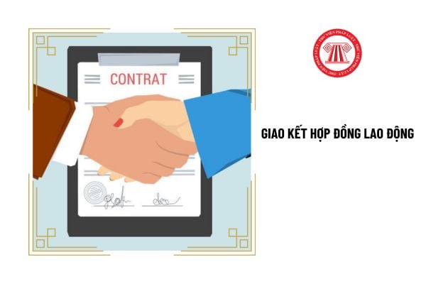 Khi giao kết hợp đồng lao động, người lao động có phải cung cấp thông tin về trình độ học vấn không?