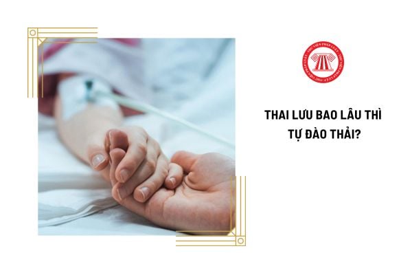 Thai lưu bao lâu thì tự đào thải? Lao động nữ được nhận tiền thai sản bao nhiêu khi thai lưu?