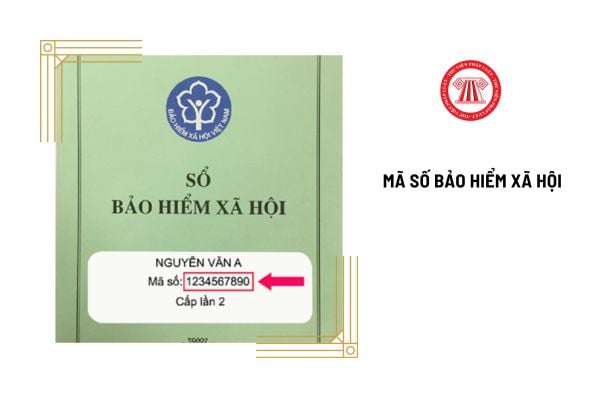 Mã số bảo hiểm xã hội có bao nhiêu số? 