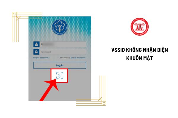 Tại sao VssID không nhận diện khuôn mặt? Tra cứu thời hạn sử dụng thẻ bảo hiểm y tế qua VssID như thế nào?