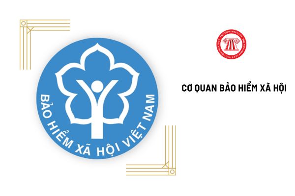 Cơ quan bảo hiểm xã hội là cơ quan gì?