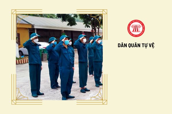 Tước danh hiệu Dân quân tự vệ có phải là hình thức kỷ luật đối với Dân quân tự vệ không?