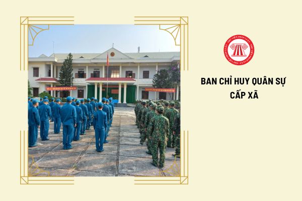 Chỉ huy trưởng Ban chỉ huy quân sự cấp xã phải được đào tạo như thế nào?