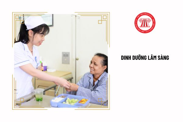 Dinh dưỡng lâm sàng muốn điều chỉnh giấy phép hành nghề khám chữa bệnh thì cần chuẩn bị hồ sơ gì?