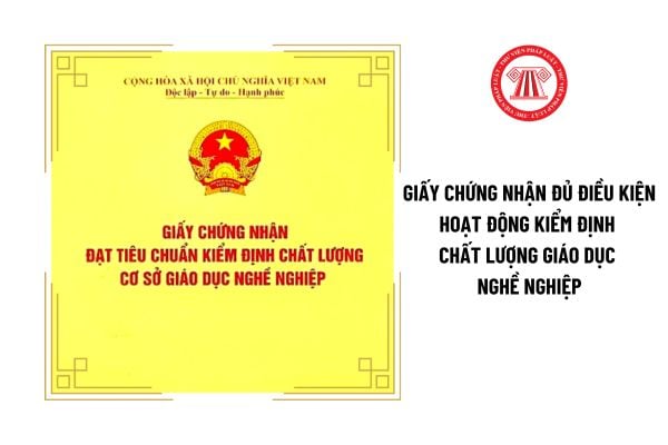 Thu hồi Giấy chứng nhận đủ điều kiện hoạt động kiểm định chất lượng giáo dục nghề nghiệp cần chuẩn bị hồ sơ gì?