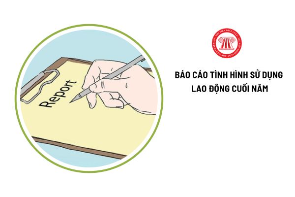 Mẫu báo cáo tình hình sử dụng lao động 06 tháng cuối năm dành cho doanh nghiệp được quy định thế nào?