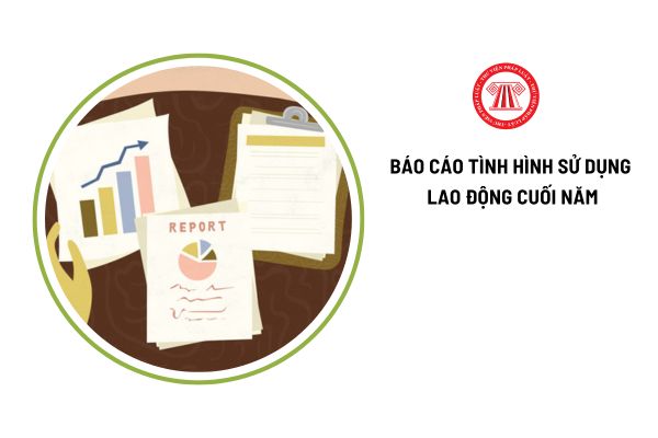 Doanh nghiệp phải gửi báo cáo tình hình sử dụng lao động 06 tháng cuối năm chậm nhất vào ngày nào?