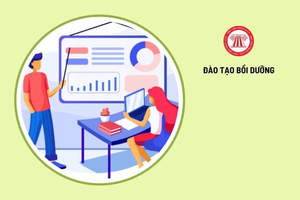 Căn cứ đào tạo bồi dưỡng cán bộ là gì?