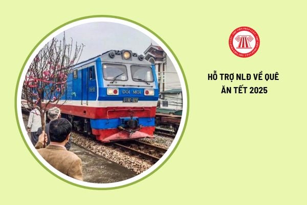 Tải mẫu đơn đề nghị hỗ trợ giá vé xe về quê ăn Tết Nguyên đán 2025 dành cho người lao động?