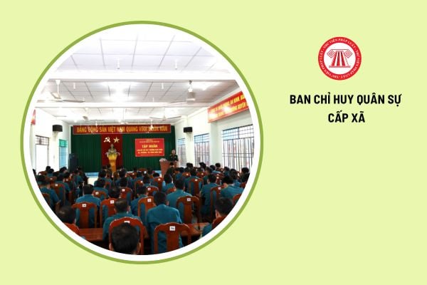 Mức phụ cấp hằng tháng của Phó Chỉ huy trưởng Ban chỉ huy quân sự cấp xã được quy định như thế nào?