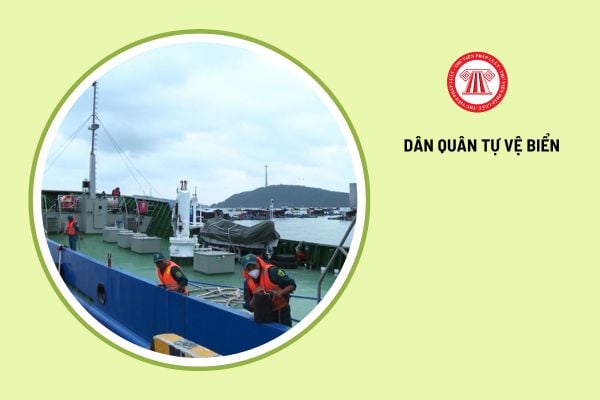 Trung đội Dân quân tự vệ biển do cơ quan nào thành lập?