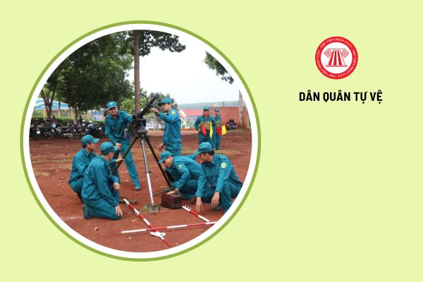 Dân quân tự vệ nào được tặng Danh hiệu Chiến sĩ thi đua toàn quân?