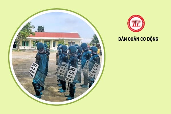 Xét tặng Danh hiệu Chiến sĩ thi đua toàn quốc cho Dân quân tự vệ cơ động khi đáp ứng tiêu chuẩn nào?