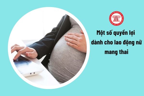Lao Động Tiền Lương